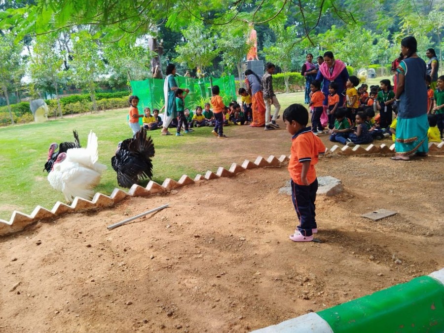 Best School in Keonjhar